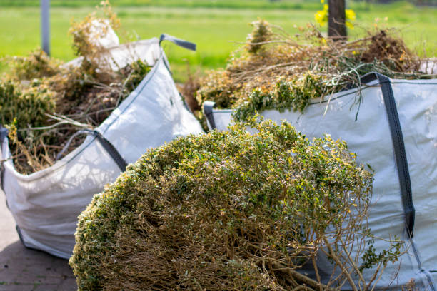 Best Dumpster Rental Services  in Porter, IN